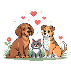 Human Society, Unity, Culture, Diversity and Modern Life, Community Connections and Social Interaction in Modern Life