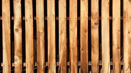 Wooden fence texture. Vertical planks, sunlight.