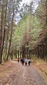 Monta&ntilde;istas en las lagunas de siecha, ubicadas en el paramo de Chingaza, cerca a Bogot&aacute;