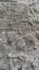 Vertical photo of bumpy grey stone surface, dark, with reddish tint.