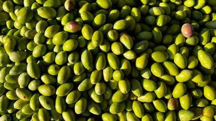 Fresh, green olives gathered together in bright daylight. Harvest, food, and Mediterranean cuisine concept.