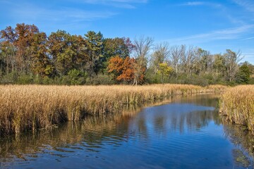 Beautiful view of a peaceful stream passing beside a forest displaying Autumn colors on a sunny day near Merton, Wisconsin.
