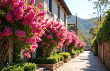 Pink flowering trees line sunny pathway next to building. Bright blossoms create beautiful garden scene. Rich plants, distant mountains complete peaceful outdoor view. Vibrant spring summer nature