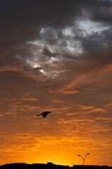 The art of the Sky