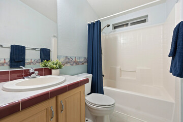 A welldesigned bathroom featuring a sink, toilet, tub, and mirror