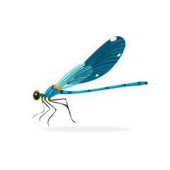 A_Simple_flat_2D_icon_of_a_damselfly_isolated,  simple illustration with EPS format design
