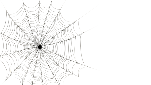 Intricate delicate spider web with symmetrical radial strands detailed in realistic style capturing natural geometry pattern and fine silky texture on white background