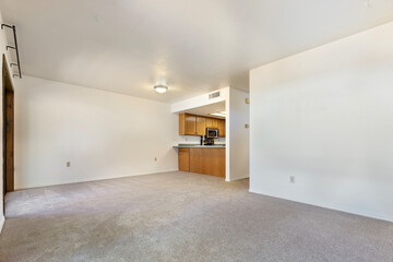 An empty living room with carpet and a kitchen in background
