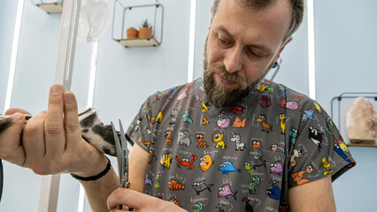 At a pet grooming salon, a middle-aged male groomer is trimming the fur of an adorable English...