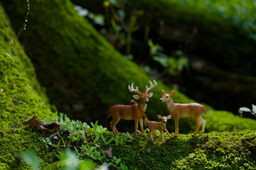 Fototapete bei efototapeten.de bestellen   