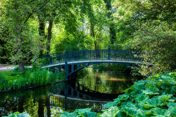 Pater Van Kilsdonkbrug Crossing the Water in Vondelpark, Amsterdam