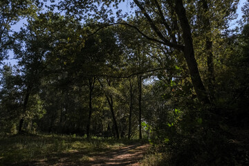 Fototapeta premium beira rio