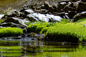 LOS LAGUNILLOS DE SIERRA NEVADA