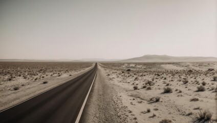 Endless Desert Highway Stretching Towards the Horizon Under a Vast Sky.
