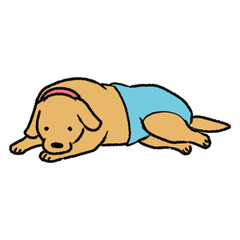 おむつを履いている犬のイラスト