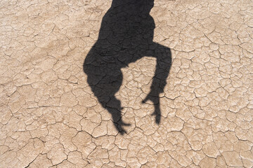 Silhouette of Muslim man standing while raised hands and praying with the desert scene background in Mesopotamia, Iraq