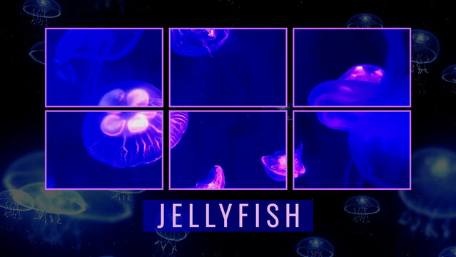 Four Wide Separated Screens Overlay