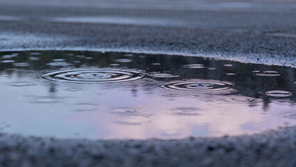 Fototapeta premium Raindrops on a Puddle at Dusk