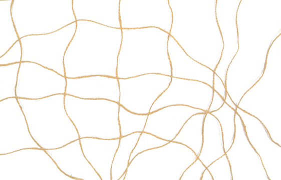 Brown strings, rope isolated on white background, top view