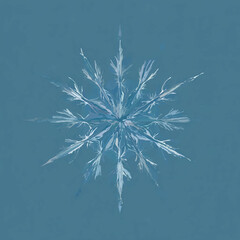 Floral Snowflake Illustration on Teal Background

