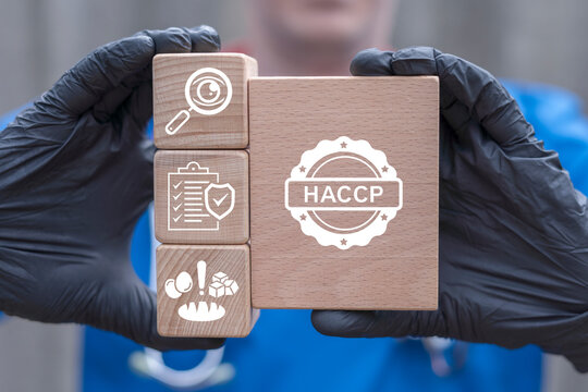 Doctor holding wooden blocks with icons sees the acronym HACCP. HACCP - Hazard Analysis Critical Control Point Medical concept. Safety Food Healthcare Certification. Healthy Nutrition Standards.