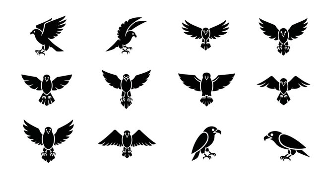 Dynamic collection of powerful bird icons showcasing flight, majesty, and freedom for bold branding and impactful designs