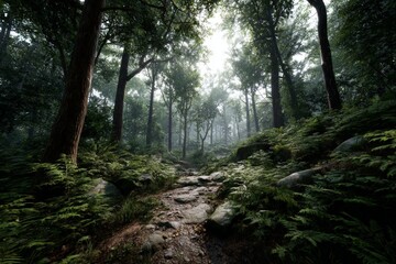 Fototapeta premium Misty Forest Path in Lush Greenery and Sunlight