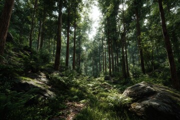 Obraz premium Lush Green Forest Pathway in Sunlight