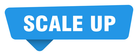 scale up sticker. scale up blue sign isolated on transpatent background