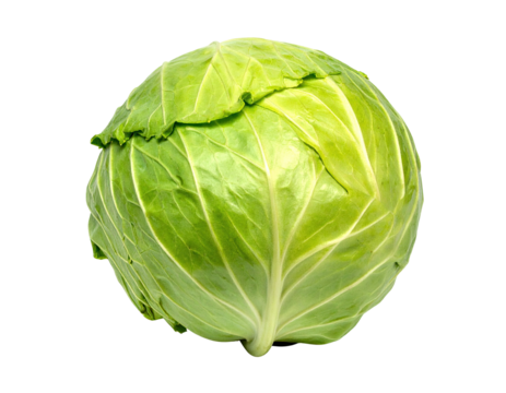 Round, dense, green cabbage on black. Crisp leaves