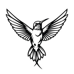 Obraz premium Detailed Black Outline Flying Hummingbird Vector Art