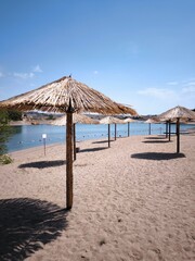 Row of straw umbrellas on a sandy beach