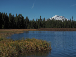 South Sister in the Cascade Mountains viewed from Little Lava Lake on a sunny fall day.