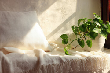Cozy corner with soft white blanket, cushion, and small green indoor plant in sunlight, creating peaceful and inviting atmosphere for relaxation and comfort