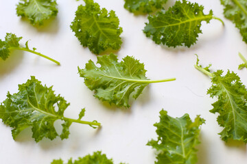 Fresh curly green kale leaves on white background.