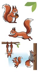 Squirrels in Various Poses - A Cartoon Illustration of Wildlife.