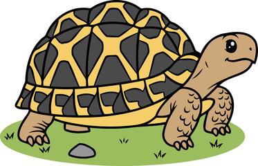 Cute Burmese Star Tortoise Walking on Grass - Animal Character Illustration Isolated on Transparent Background