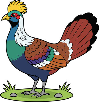 Cute Himalayan Monal Bird Standing on Grass - Animal Character Illustration Isolated on Transparent Background