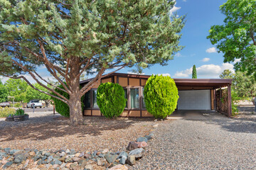 A house with a garage and a lovely tree in front of it
