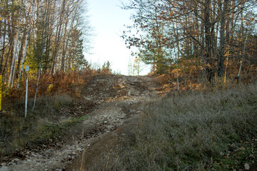 a rocky path in the woods