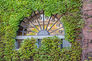 Scenic View of Kurashiki Bikan Historical Quarter in Okayama, Japan