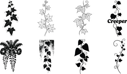 Collection of decorative creeper plant illustrations featuring various vine leaves, climbing stems, botanical elements, and ornamental foliage designs, elegant nature vector artwork set