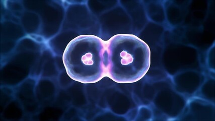 A glowing biological cell undergoing mitosis, splitting into two identical daughter cells on a dark background.