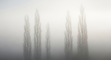 Obraz premium Ethereal Forest - A Dreamy Landscape of Trees in Soft Focus.