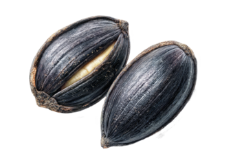 Two dark sunflower seeds, one partially open