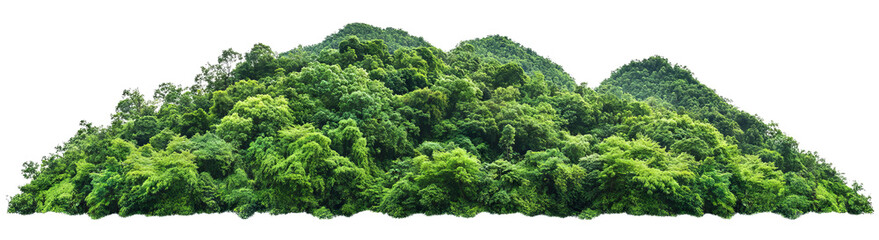 Transparent PNG of Forest Hills – Rich Greenery and Tree Diversity