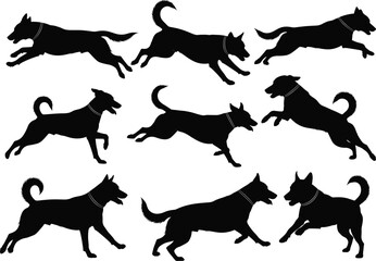 Multiple running dog silhouettes in motion, active domestic canine poses vector graphic set, playful energetic pet animal illustration design collection