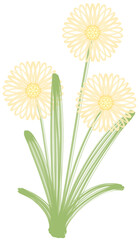 Hand-Drawn Clump of Yellow Dandelion-Like Flowers