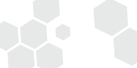 Abstract hexagon frame collage designed in a clean 2:1 aspect ratio