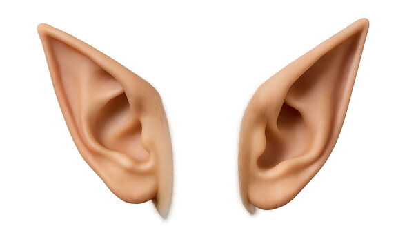 Realistic elf ears creating magical creature costume